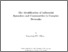 [thumbnail of Thesis.pdf]