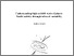 [thumbnail of Doctoral_Thesis-69.pdf]